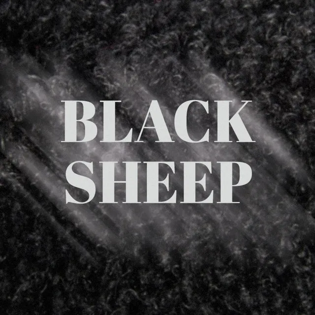 Black Sheep