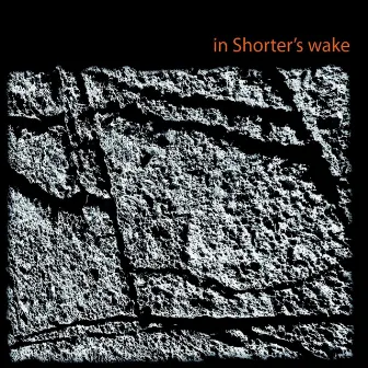 In Shorter's Wake by Alessandro Garau