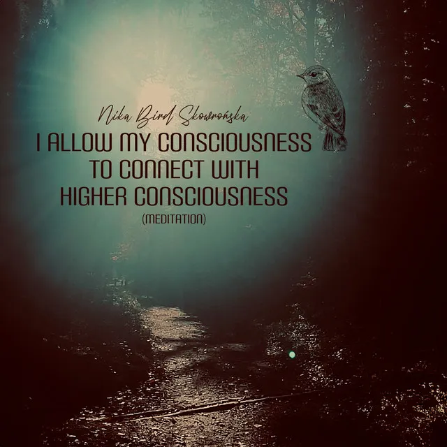 I Allow My Consciousness to Connect with Higher Consciousness (Meditation)