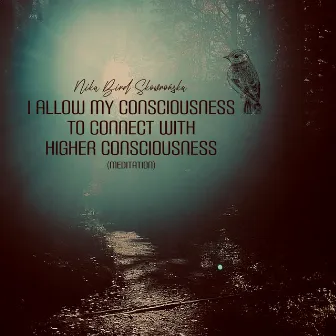 I Allow My Consciousness to Connect with Higher Consciousness (Meditation) by Nika Bird Skowrońska