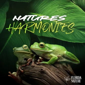 Natures Harmonies by Florida Nature