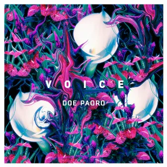 Voice by Doe Paoro