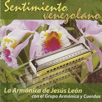 Sentimiento Venezolano by Jesús León