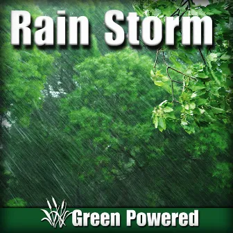 Rain Storm (Nature Sound) by Green Powered