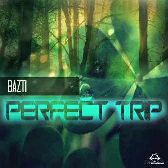 Perfect Trip by Bazti