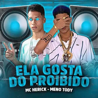 Ela Gosta do Proibido by mc herick