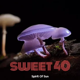 Sweet 40 by Spirit Of Sun