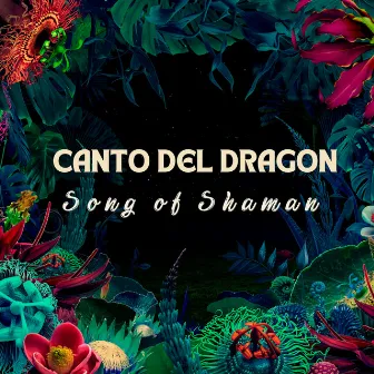 Song of Shaman by Canto del Dragon