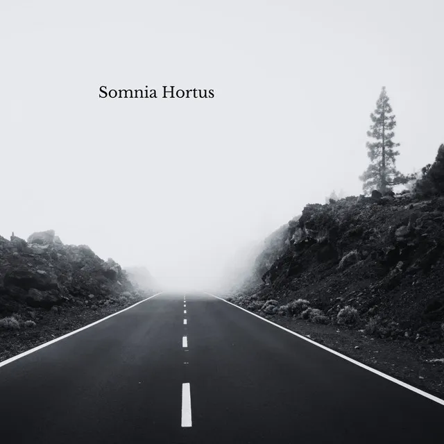 Somnia Hortus