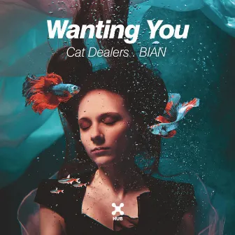 Wanting You by Bian