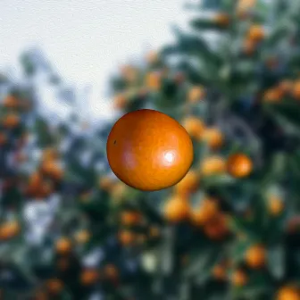 Kumquat by Debbie