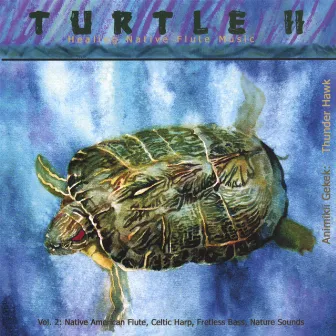 Turtle II Healing Native Flute Music by Dennis Hawk