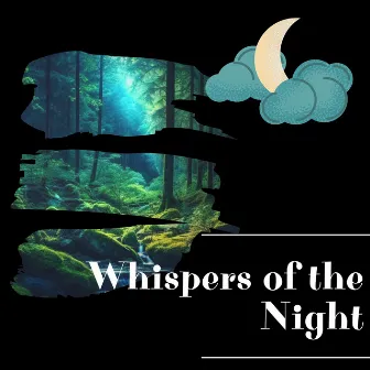 Whispers of the Night by Night Sounds Channel