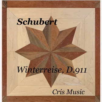 Schubert: Winterreise, D.911 by Gerhard Hüsch