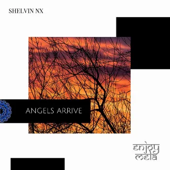 Angels Arrive by Shelvin NX