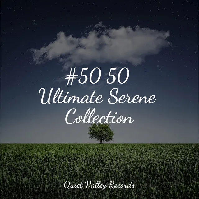 #50 50 Ultimate Serene Collection