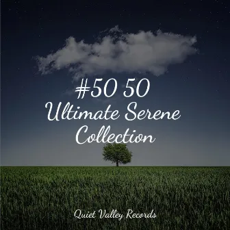 #50 50 Ultimate Serene Collection by Mother Nature FX