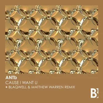 Cause I Want U by ANTb