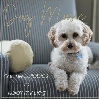 Dog Music: Canine Lullabies to Relax My Dog by Dog Therapy Zone