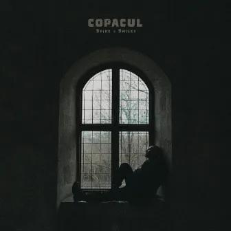 Copacul by Spike