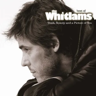 Truth, Beauty and a Picture Of You by The Whitlams