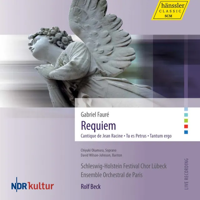 Requiem in D Minor, Op. 48: Pie Jesu