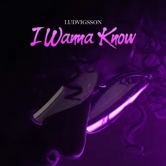 I Wanna Know by Ludvigsson