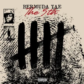 The 5th by Bermuda Yae