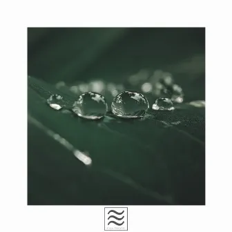 Ambient of Smooth Rain by 