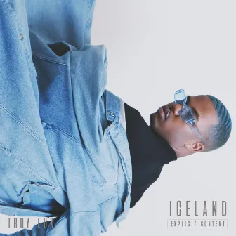 Iceland by Troy Lux