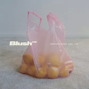 Something Other Than Love by Blush FM