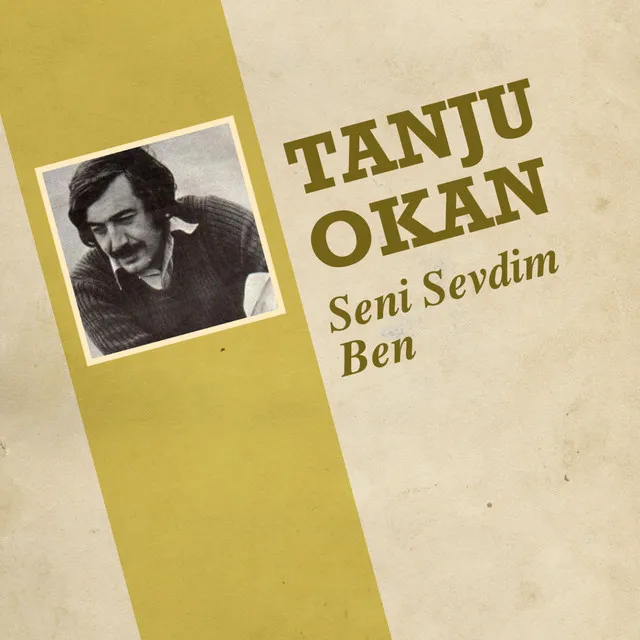 Seni Sevdim Ben