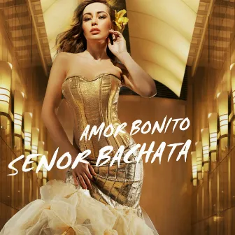 Amor Bonito by Senor Bachata