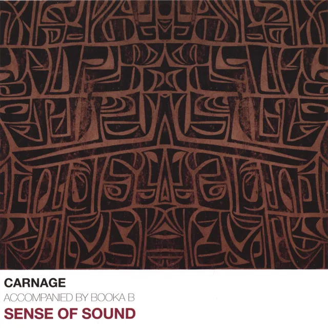 Sense Of Sound