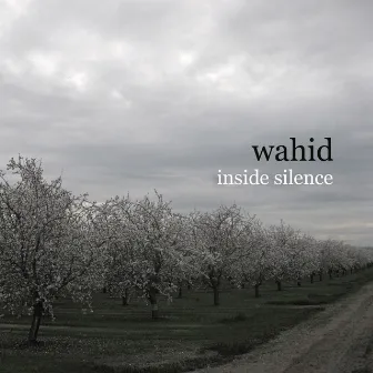 Inside Silence by Chris Wabich