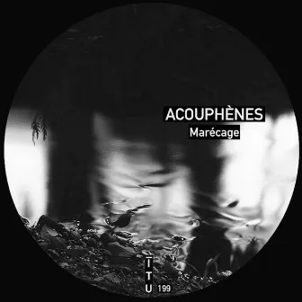 Marécage by Acouphènes