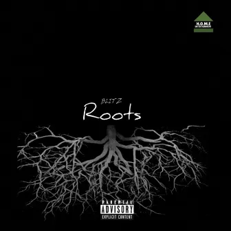 ROOTS by Unknown Artist