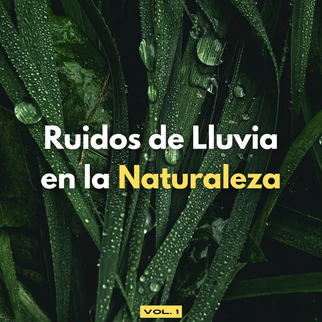 Ruidos De Lluvia En La Naturaleza Vol. 1