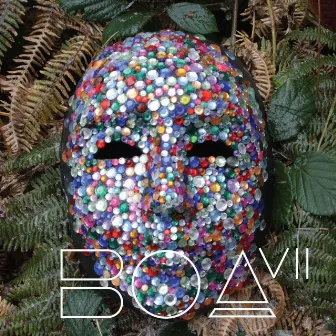 Boa VII by Boa