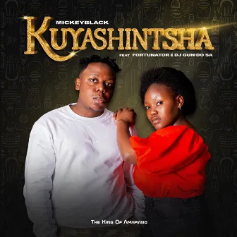 Kuyashintsha (feat. Fortunator & Dj Gun-Do SA) by Mickeyblack