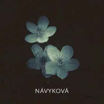 Návyková by Wavy