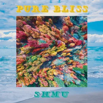 Pure Bliss by Shmu