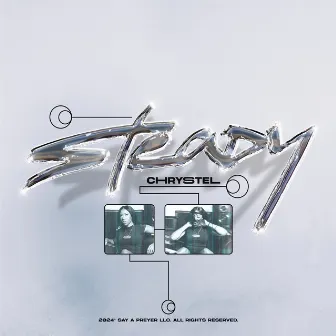 STEADY by Chrystel