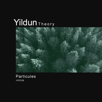 Particules by Yildun Theory