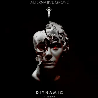 Diynamic by Unknown Artist