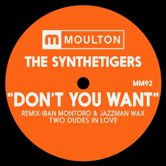 Don't You Want by The SyntheTigers