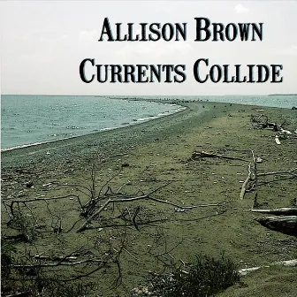 Currents Collide by Allison Brown