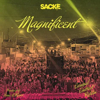 Magnificent by Sackie