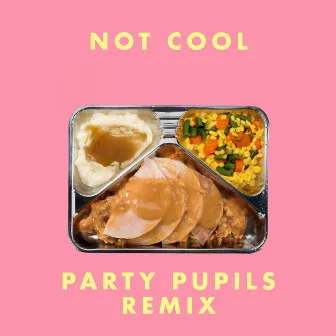 Not Cool (Party Pupils Remix) by More Giraffes