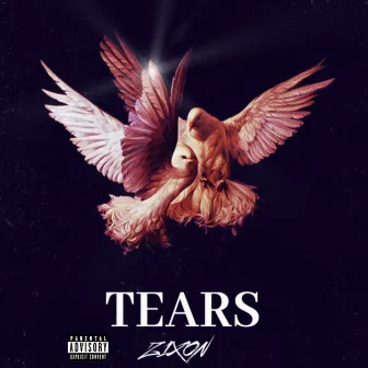 TEARS by Z1XON